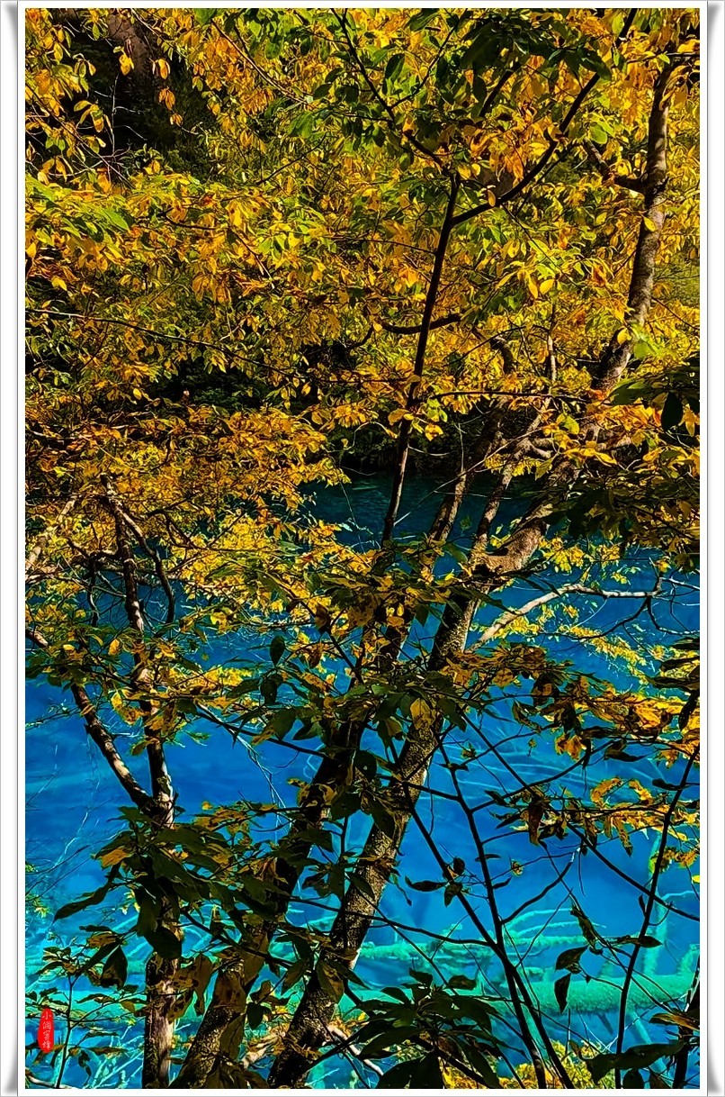 2022年九寨沟云拍-21