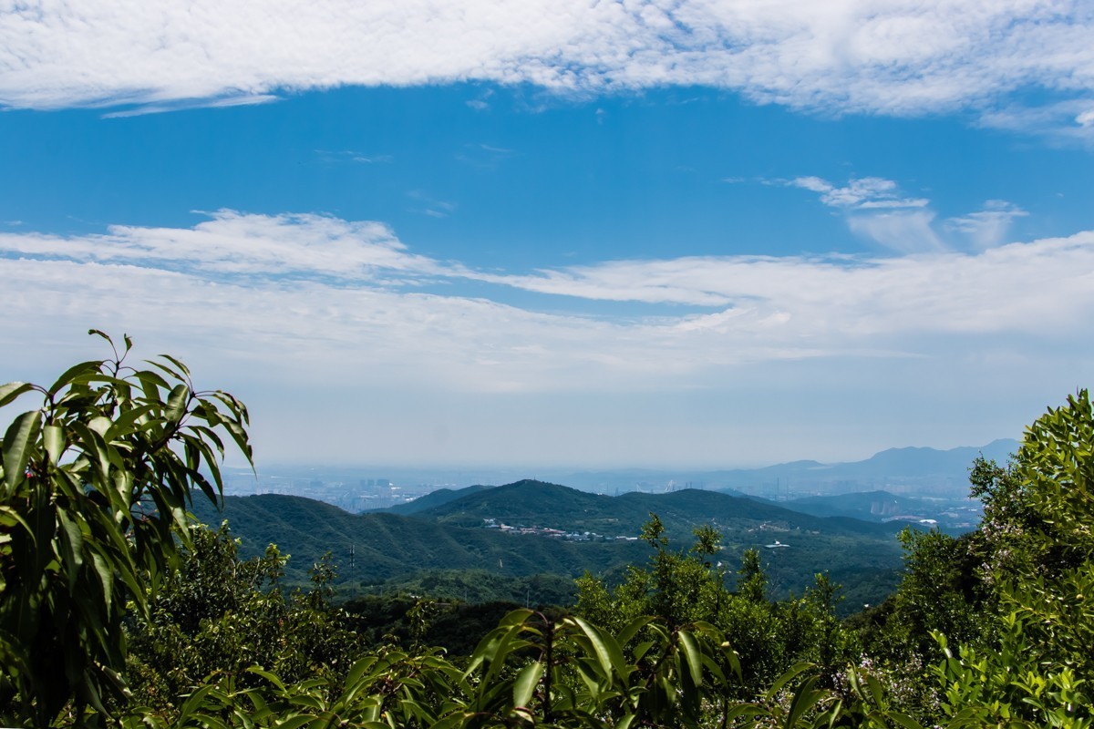 【镜头里】第1367号：北京·香山公园夏日美景（十二）