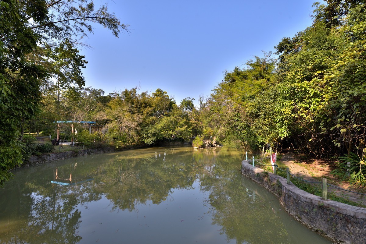 药用植物园随拍2