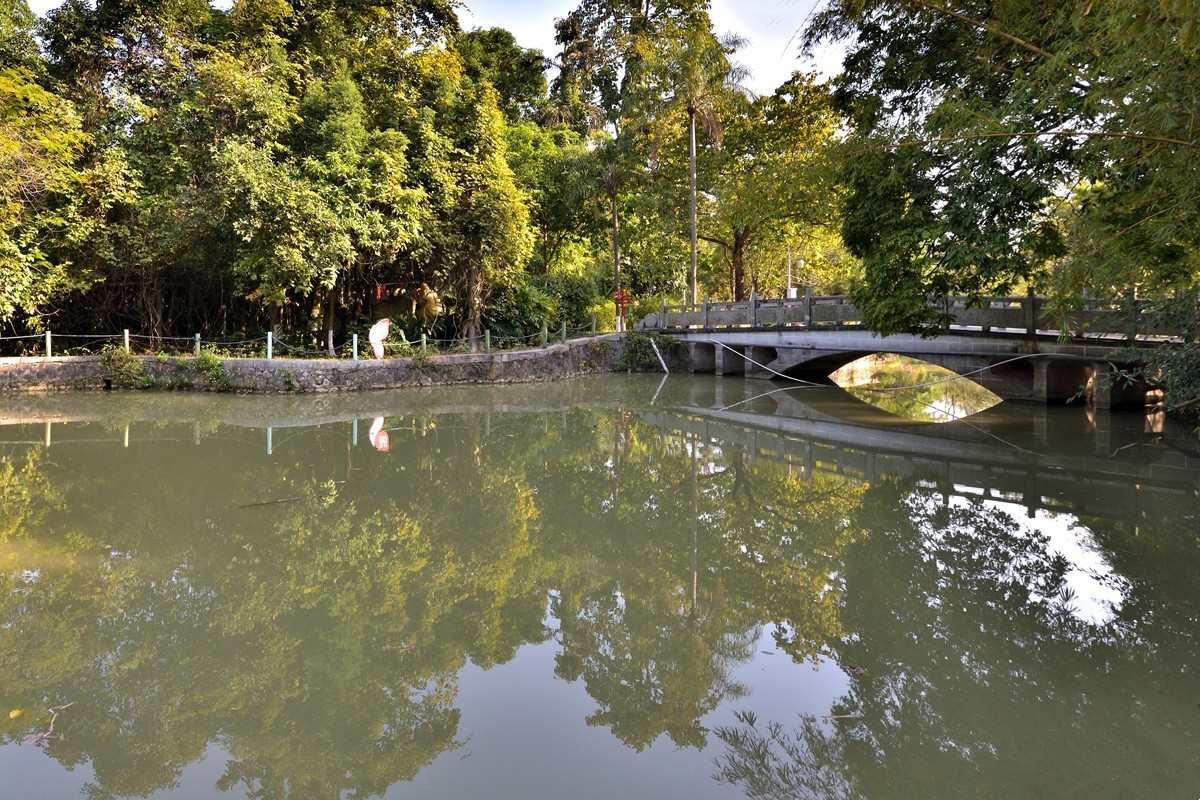 药用植物园随拍2