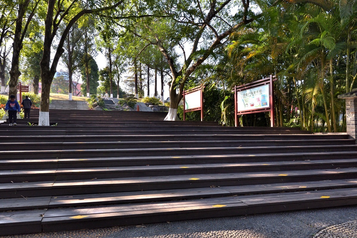 药用植物园随拍2