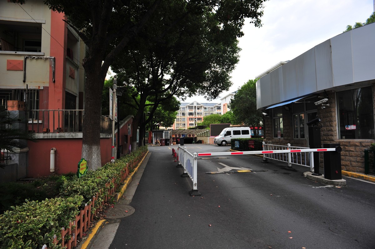 20230913晨拍-20mm定焦头