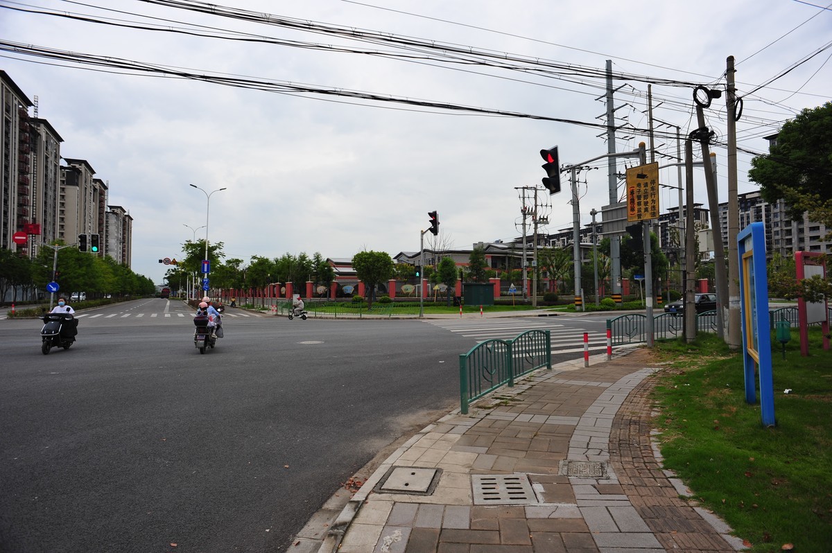 20230913晨拍-20mm定焦头