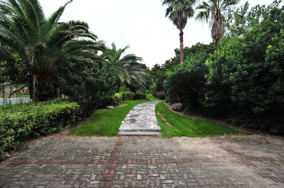 20230913晨拍-20mm定焦头