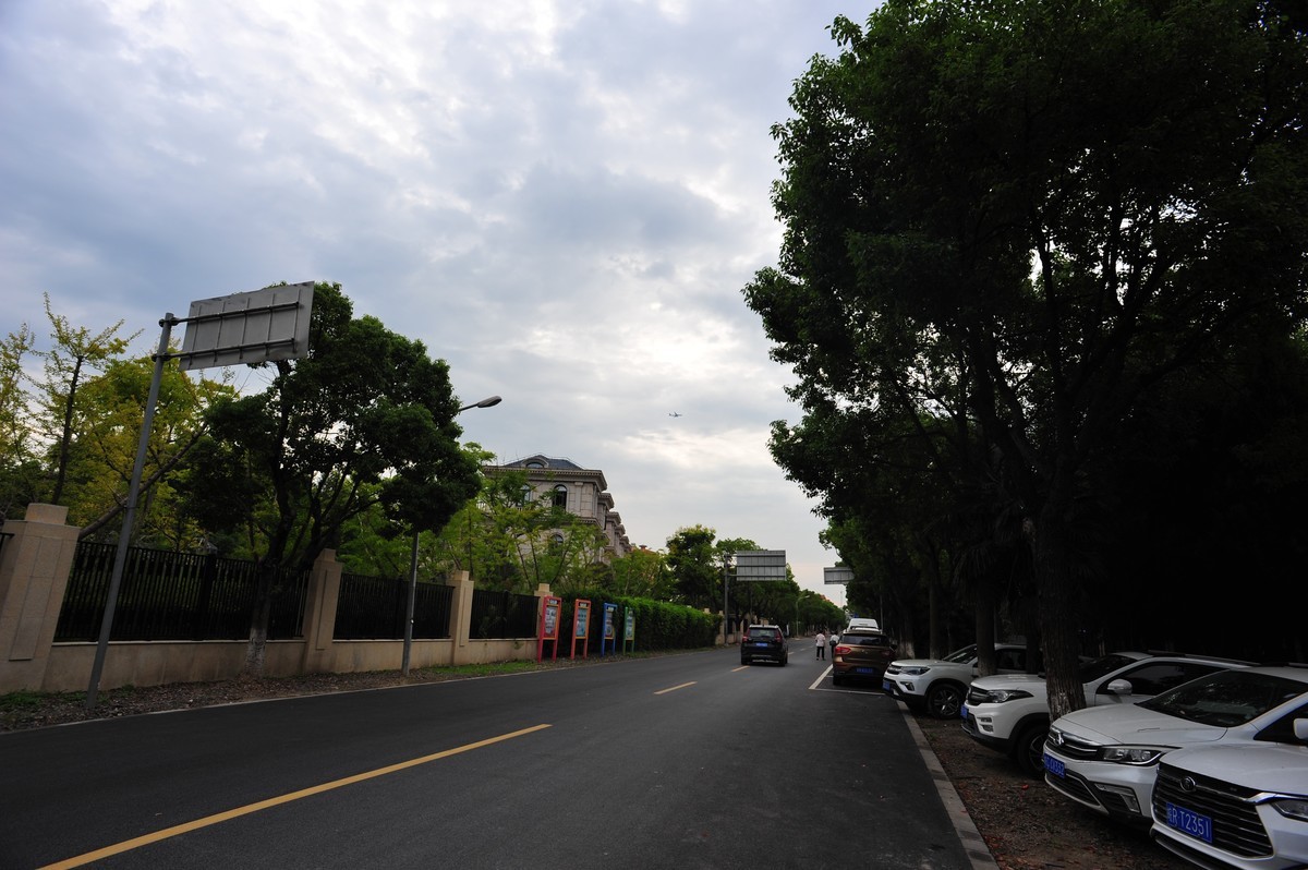 20230913晨拍-20mm定焦头