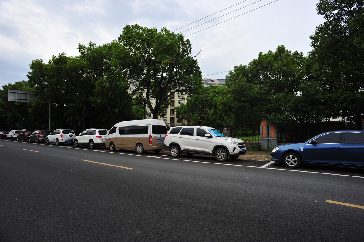 20230913晨拍-20mm定焦头