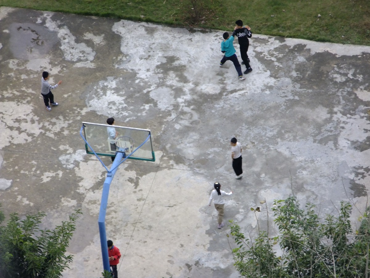 富士S205阳台长焦试拍