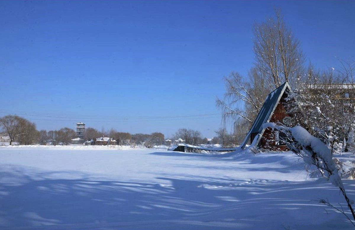 玄武湖之冬（1）