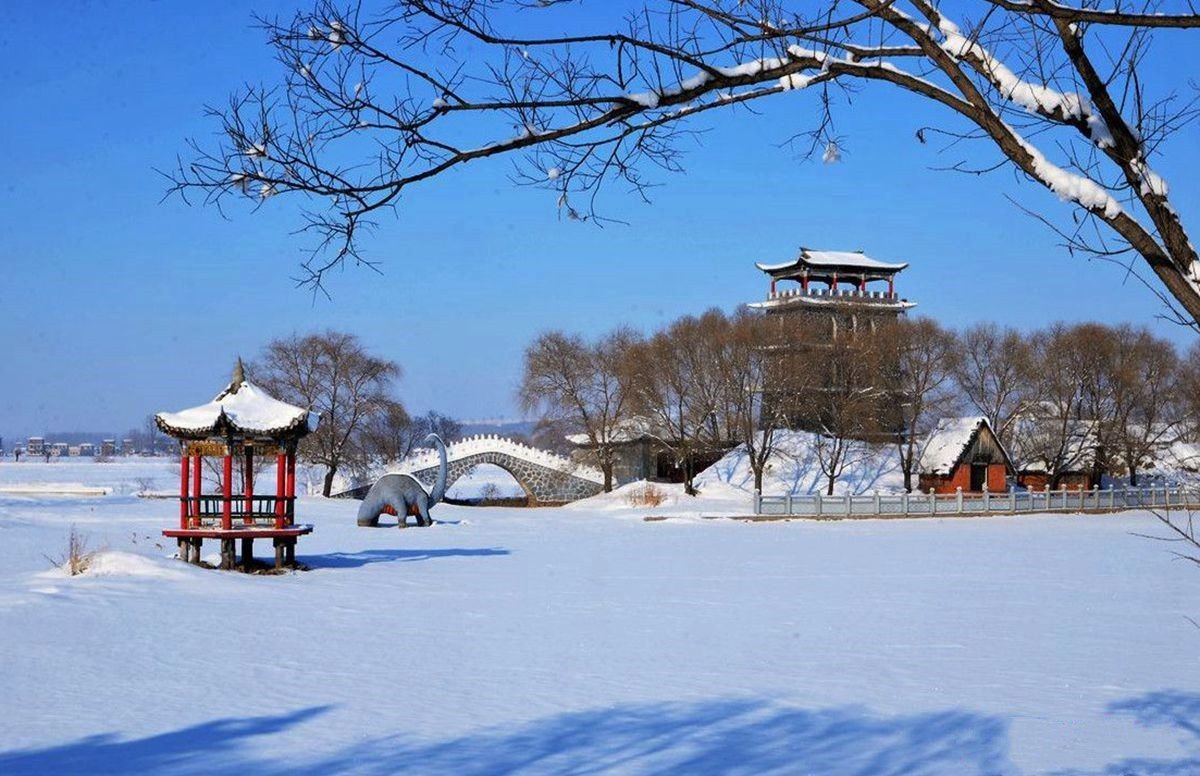 玄武湖之冬（1）