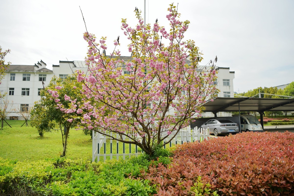 清明小长假，皖南川藏线徽州胡乐自驾游随拍。