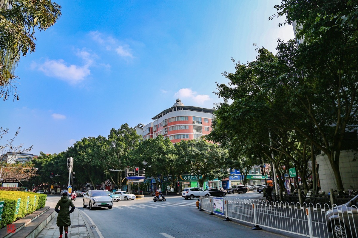 这两天天气不错