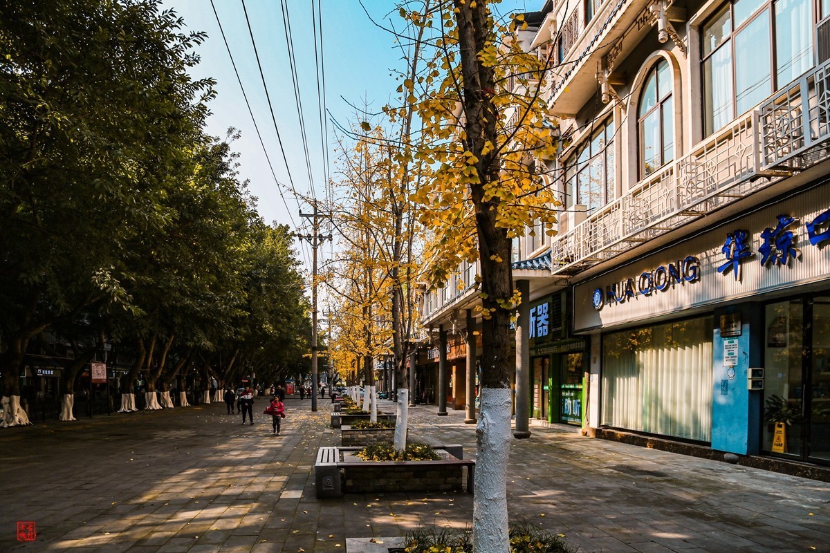 这两天天气不错