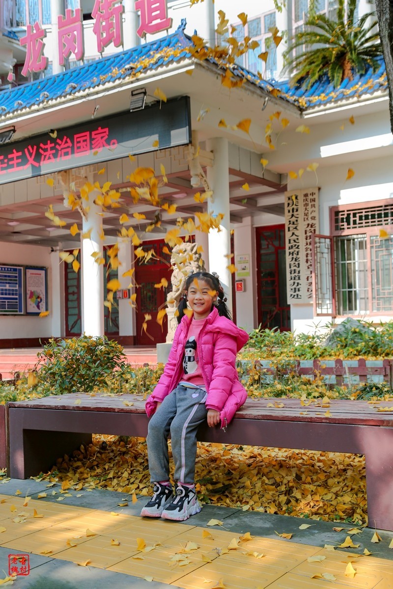 这两天天气不错