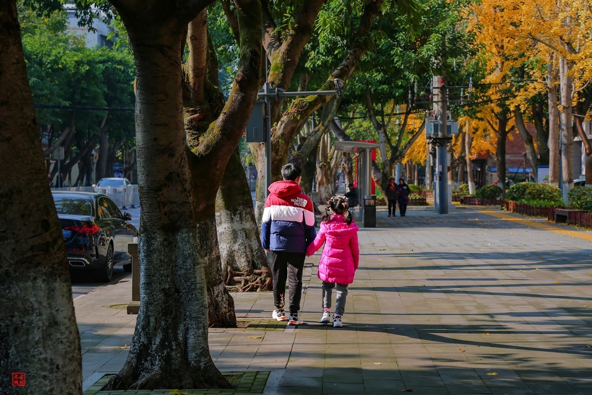 这两天天气不错