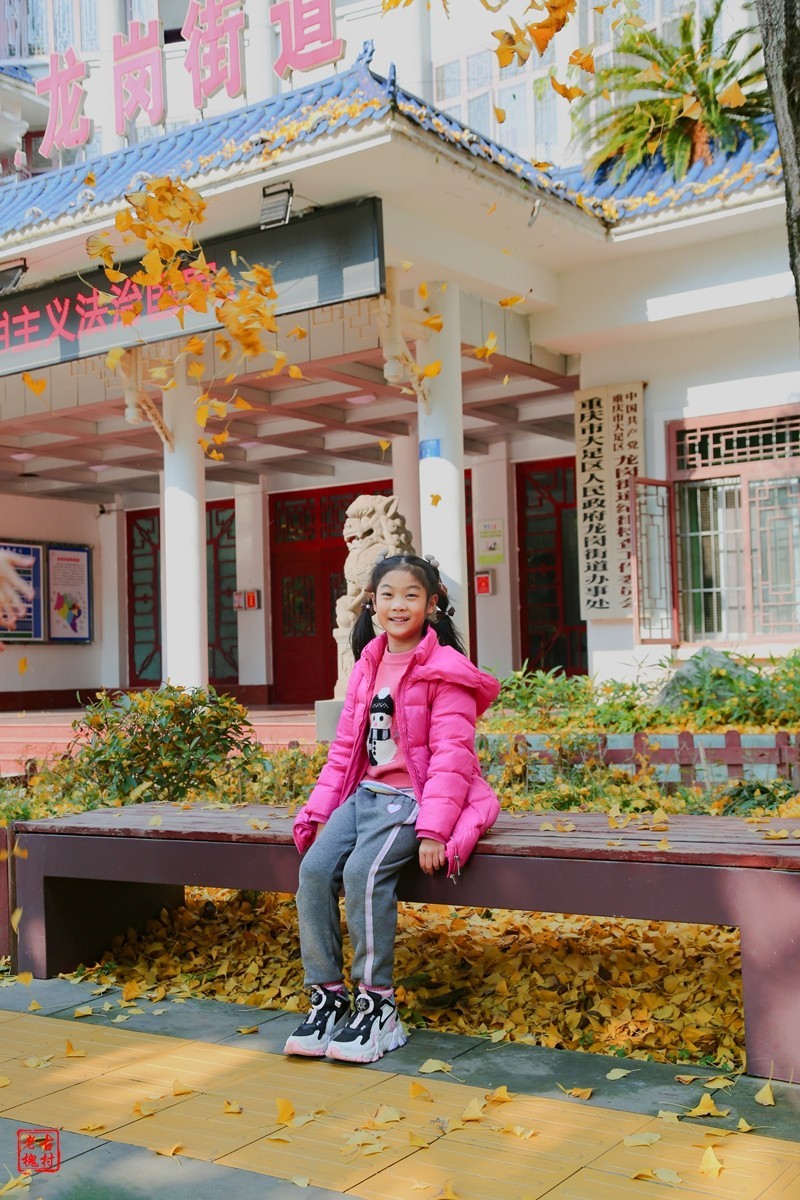 这两天天气不错