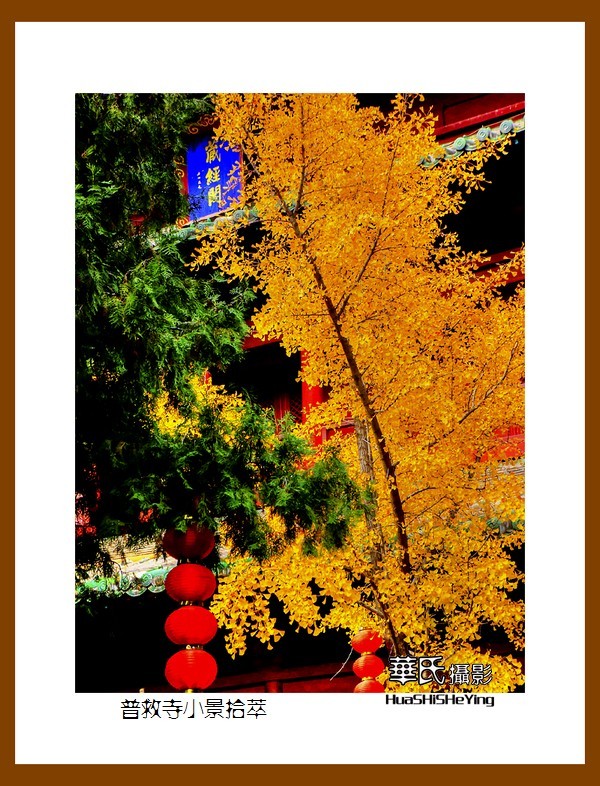 2020西西南北行游走山西018——普救寺小景拾萃（运城市永济）