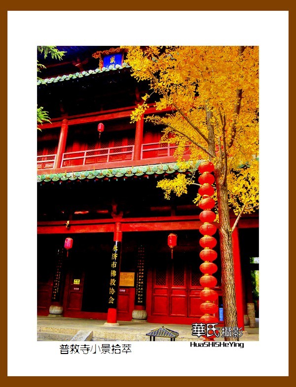 2020西西南北行游走山西018——普救寺小景拾萃（运城市永济）