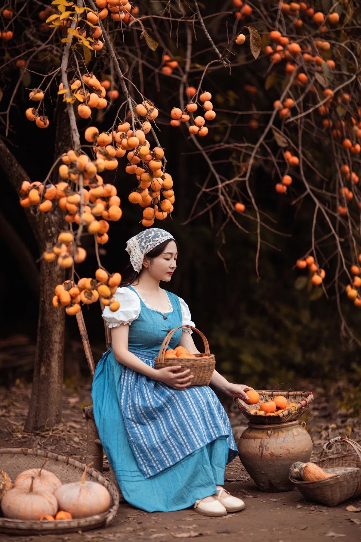 年年岁岁.柿柿红