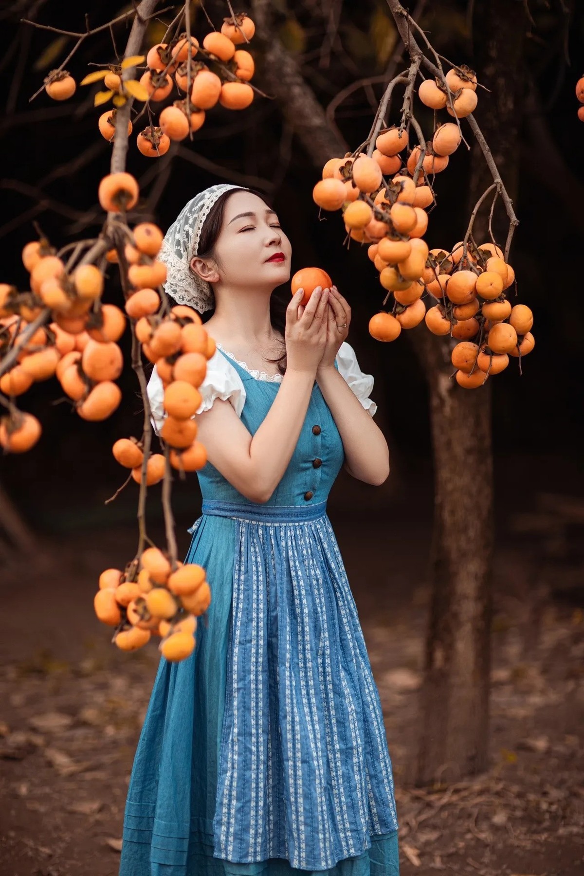 年年岁岁.柿柿红