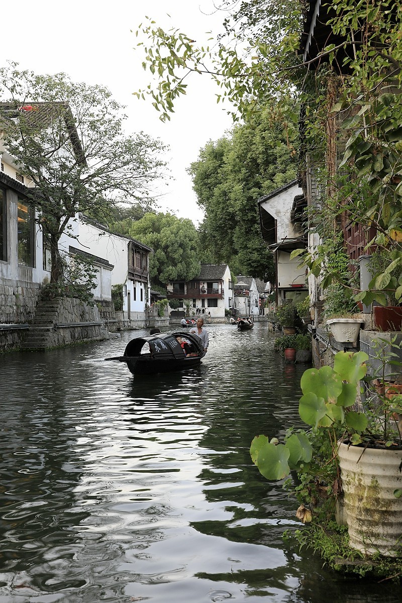 国庆绍兴游--仓桥直街乌篷船-中关村在线摄影论坛
