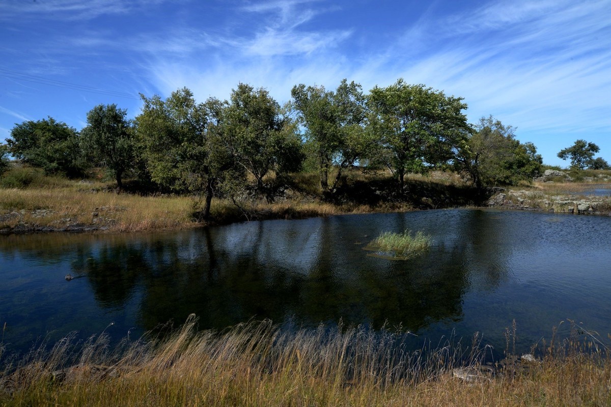 镜泊湖湿地（2）