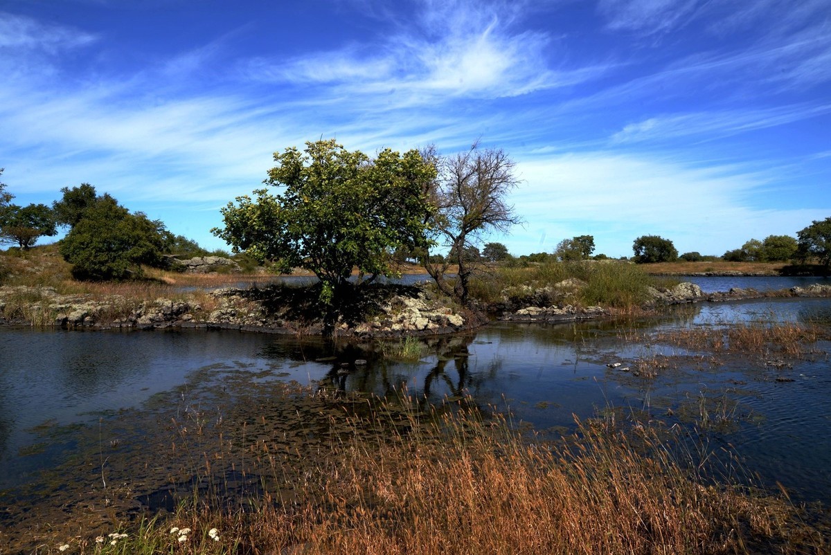 镜泊湖湿地（2）