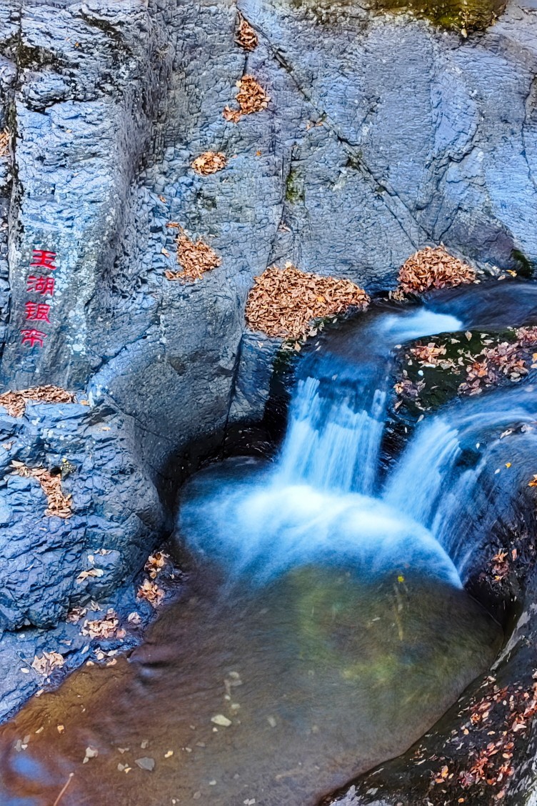 外出随拍（续196）.