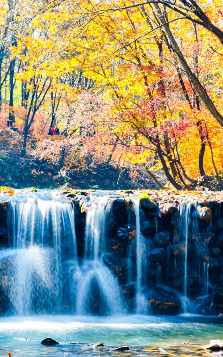 外出随拍（续196）.