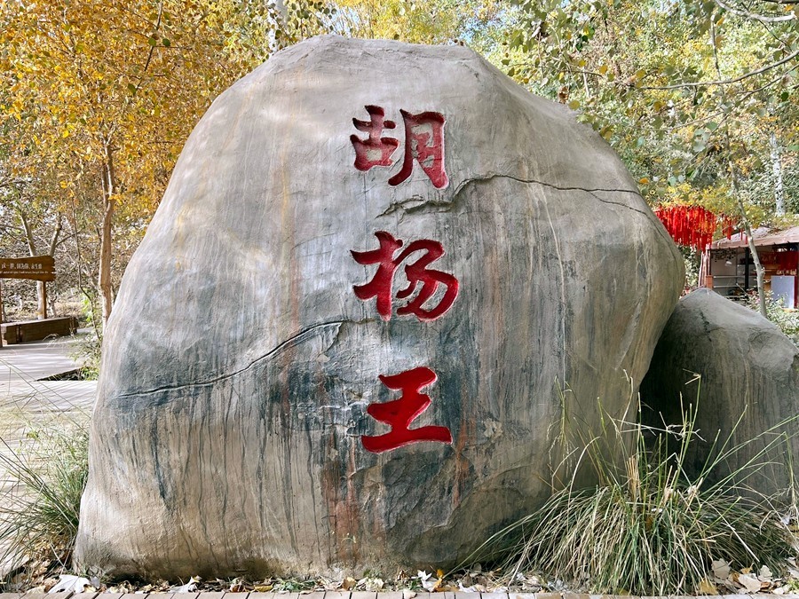 《不老松：纪实摄影》【山河锦绣】南疆游摄：金湖杨国家森林公园！ (7)