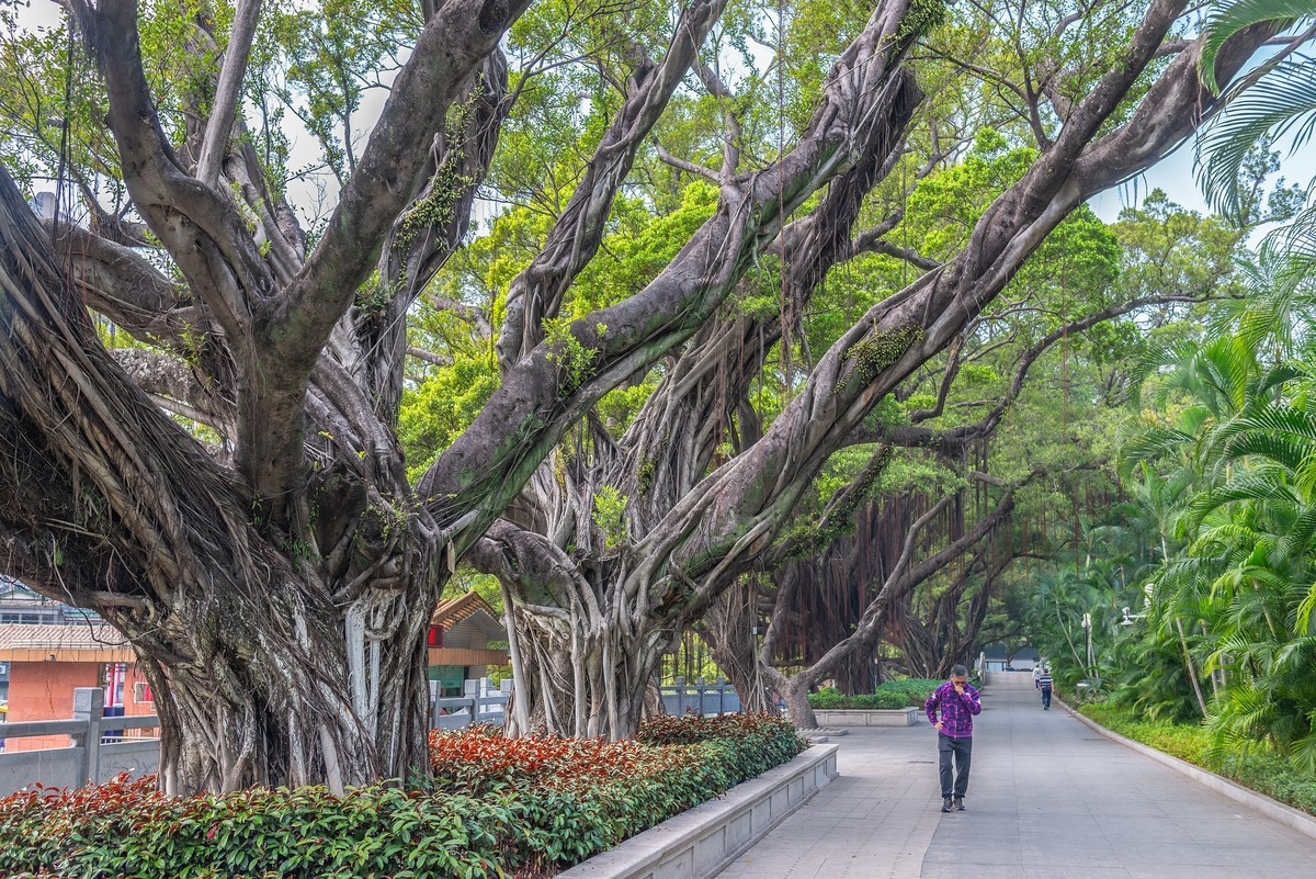 广州东山湖公园