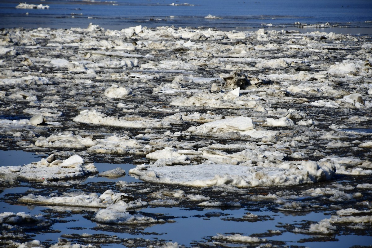 大辽河春潮涌动