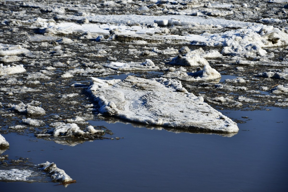 大辽河春潮涌动