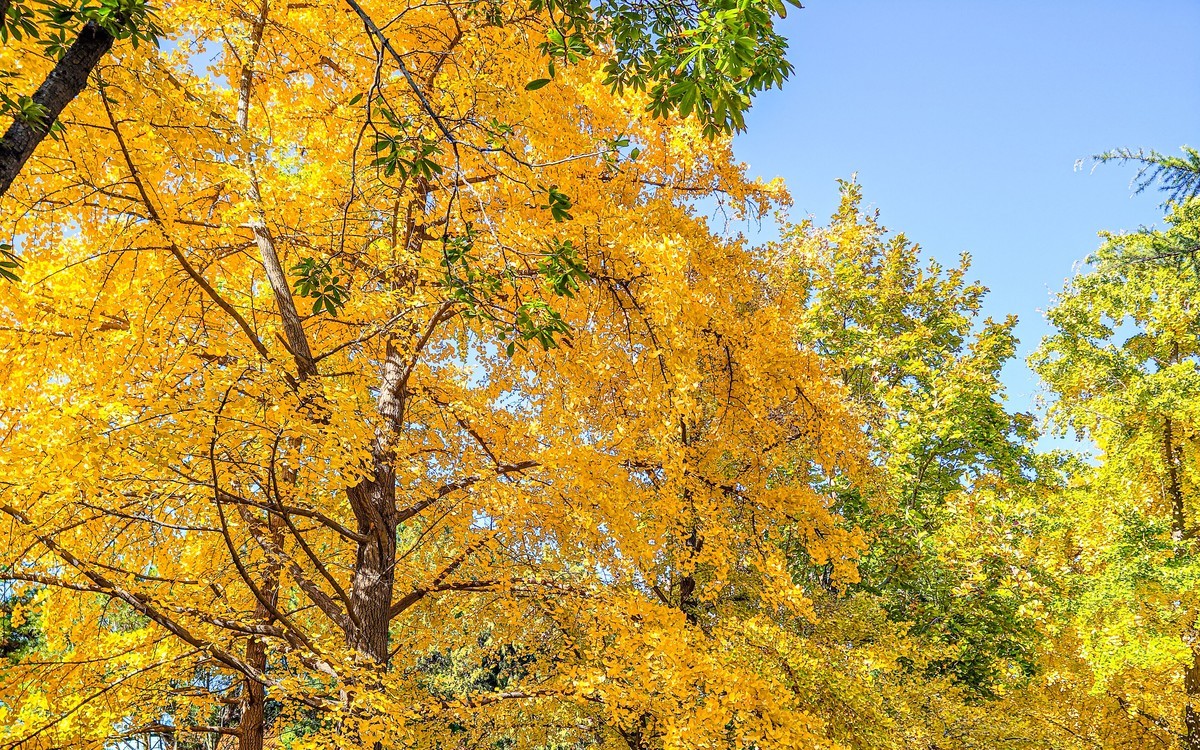 手机游拍20241105《49》