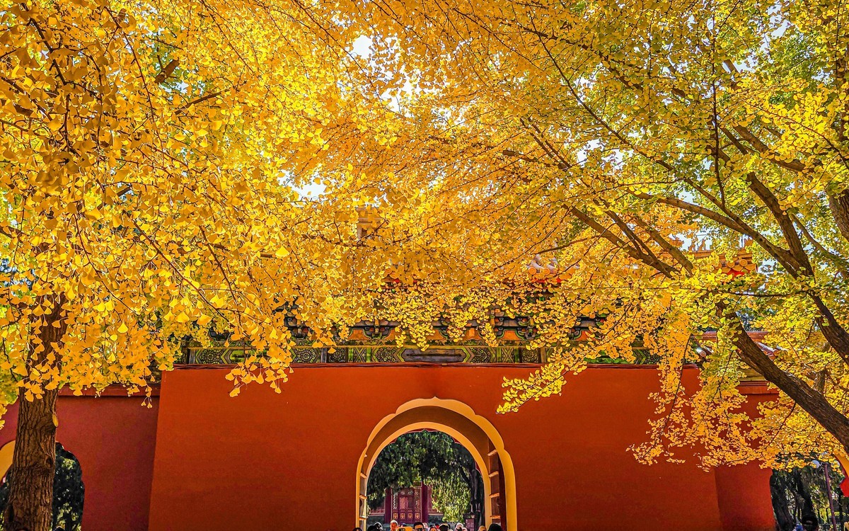 手机游拍20241105《49》