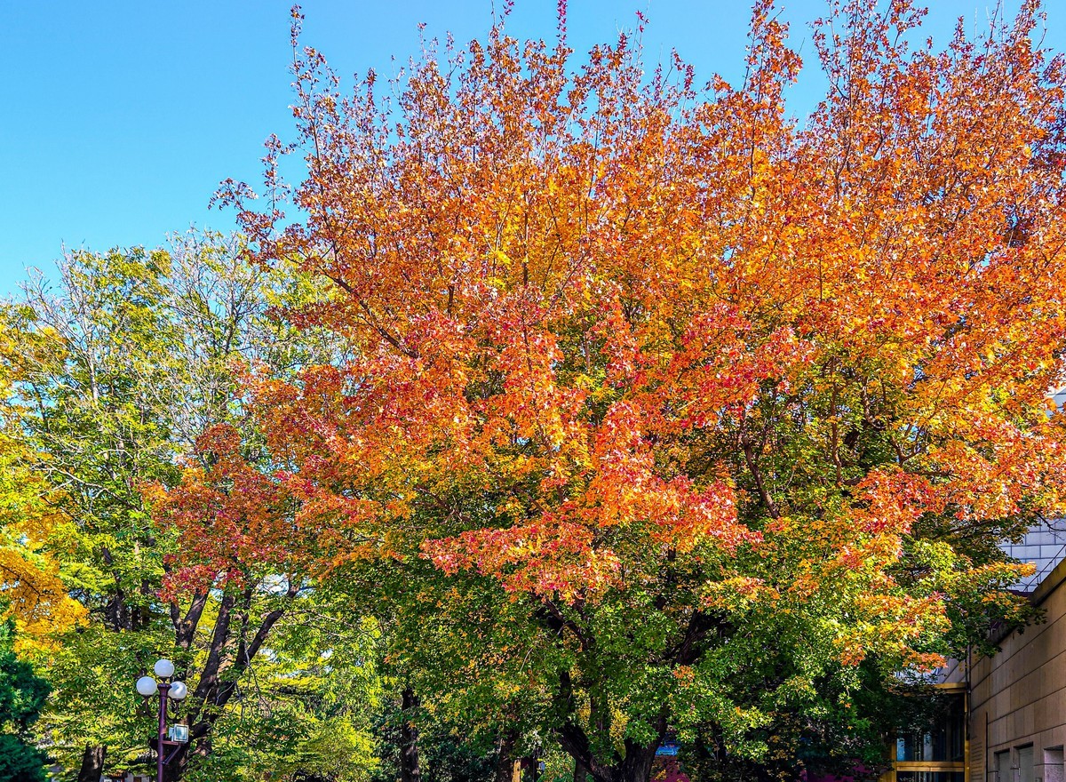 手机游拍20241105《49》