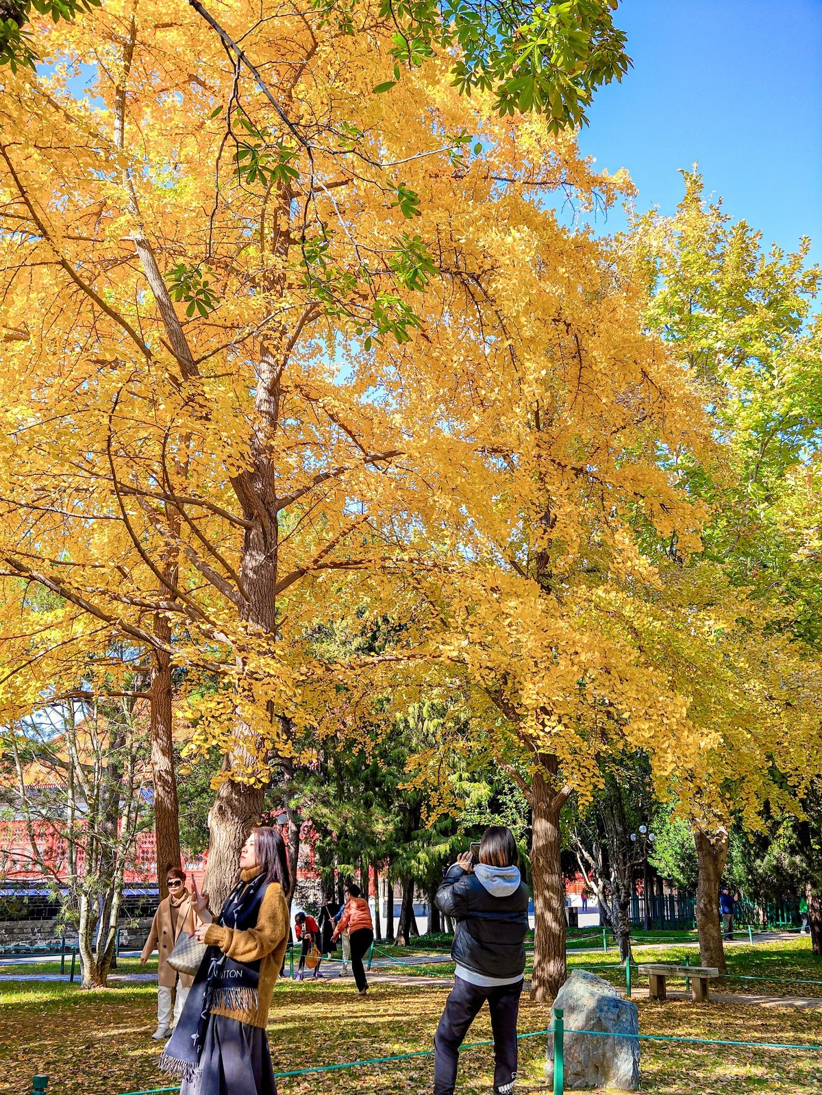 手机游拍20241105《49》