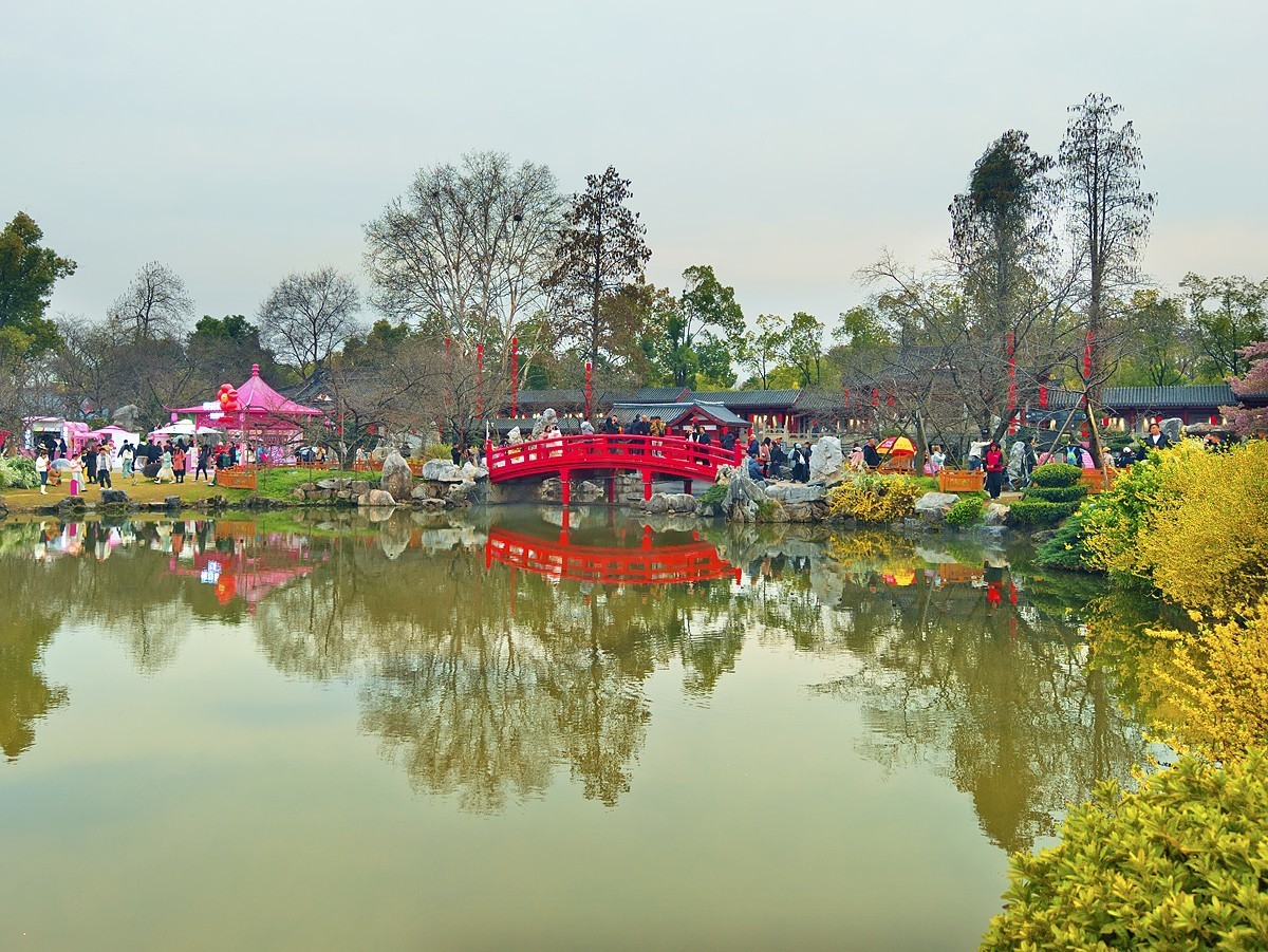 武汉东湖樱花园7