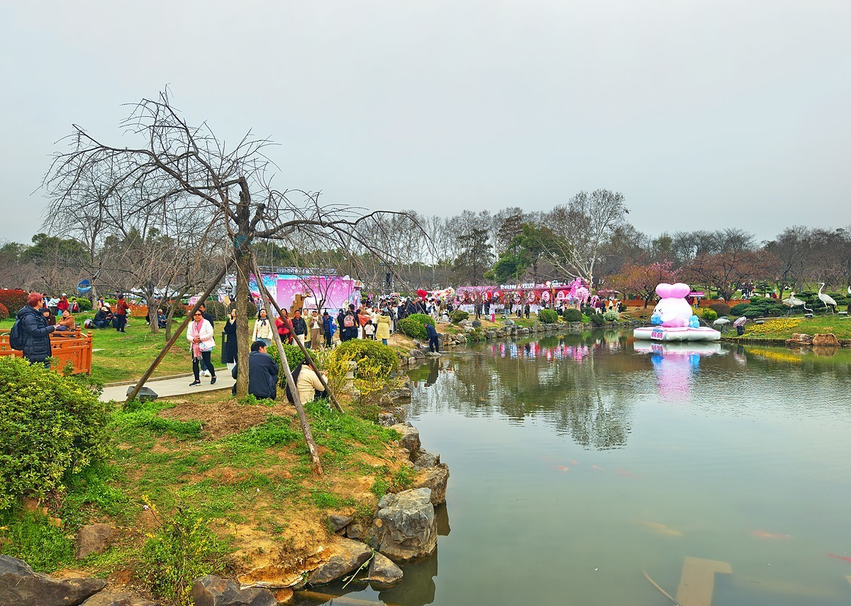 武汉东湖樱花园7