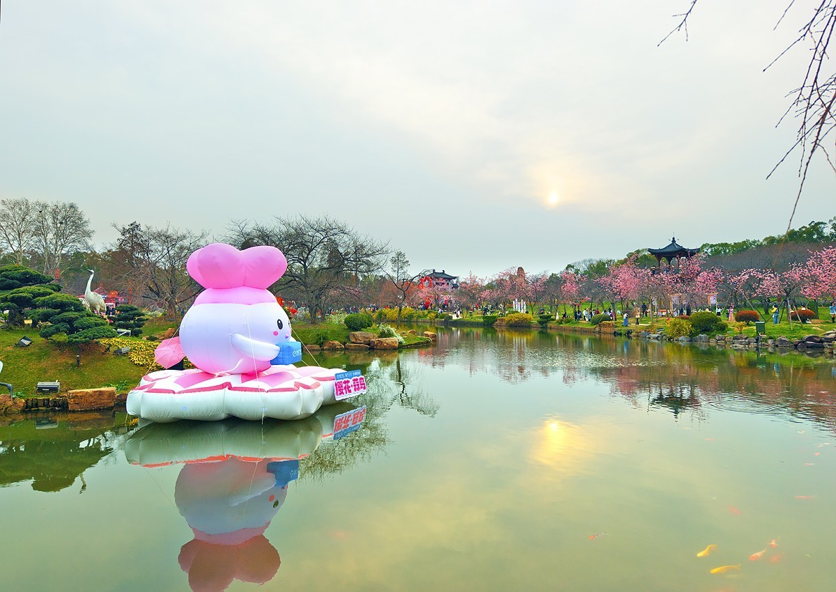 武汉东湖樱花园7