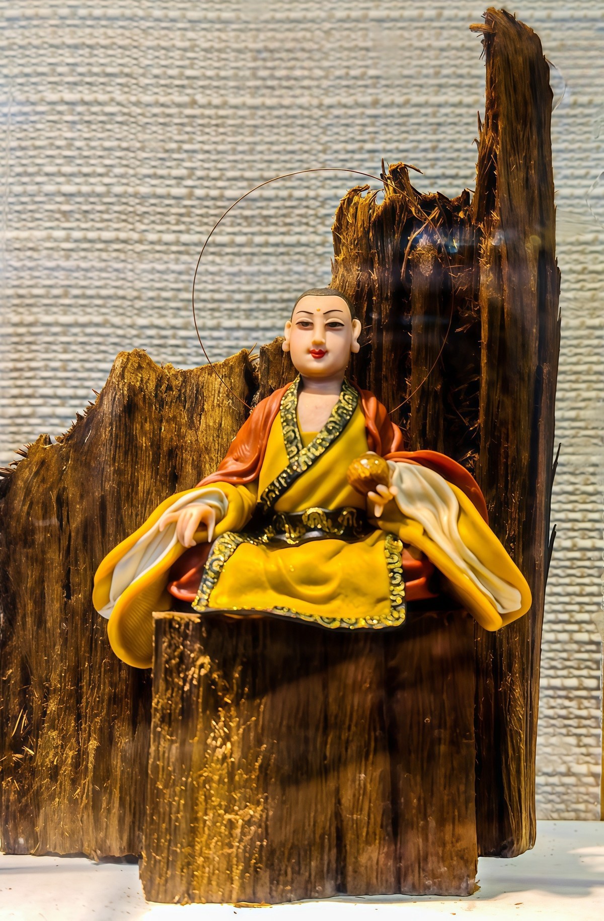 手机游拍20241112 《51》