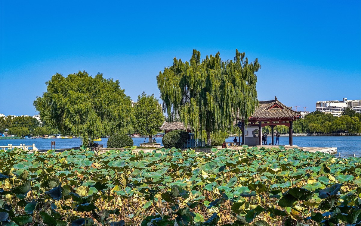 手机游拍20240924 《52》