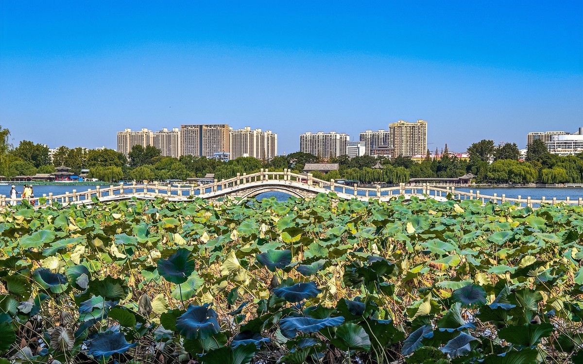 手机游拍20240924 《52》