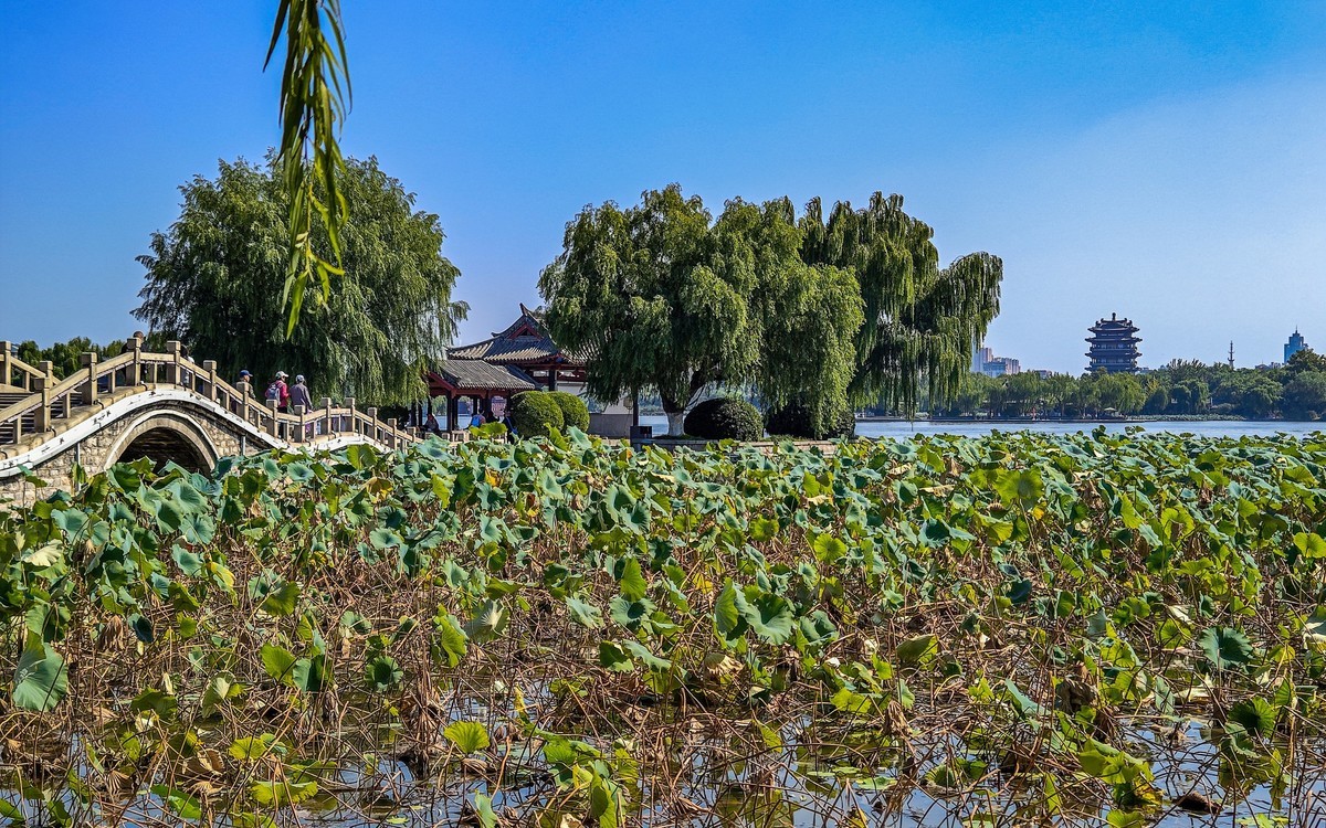 手机游拍20240924 《52》