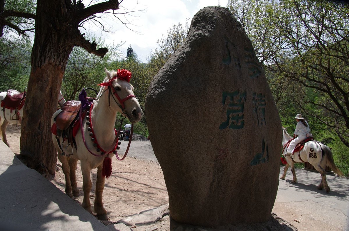 麦积山石窟游记