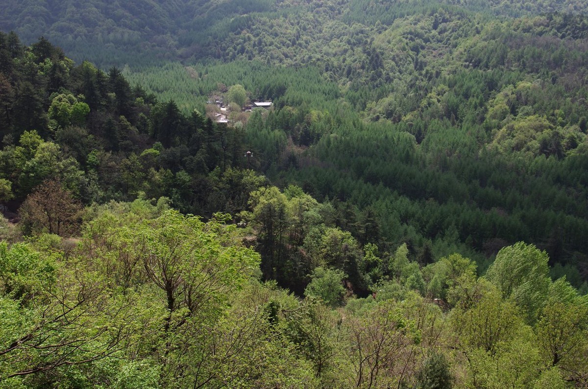 麦积山石窟游记