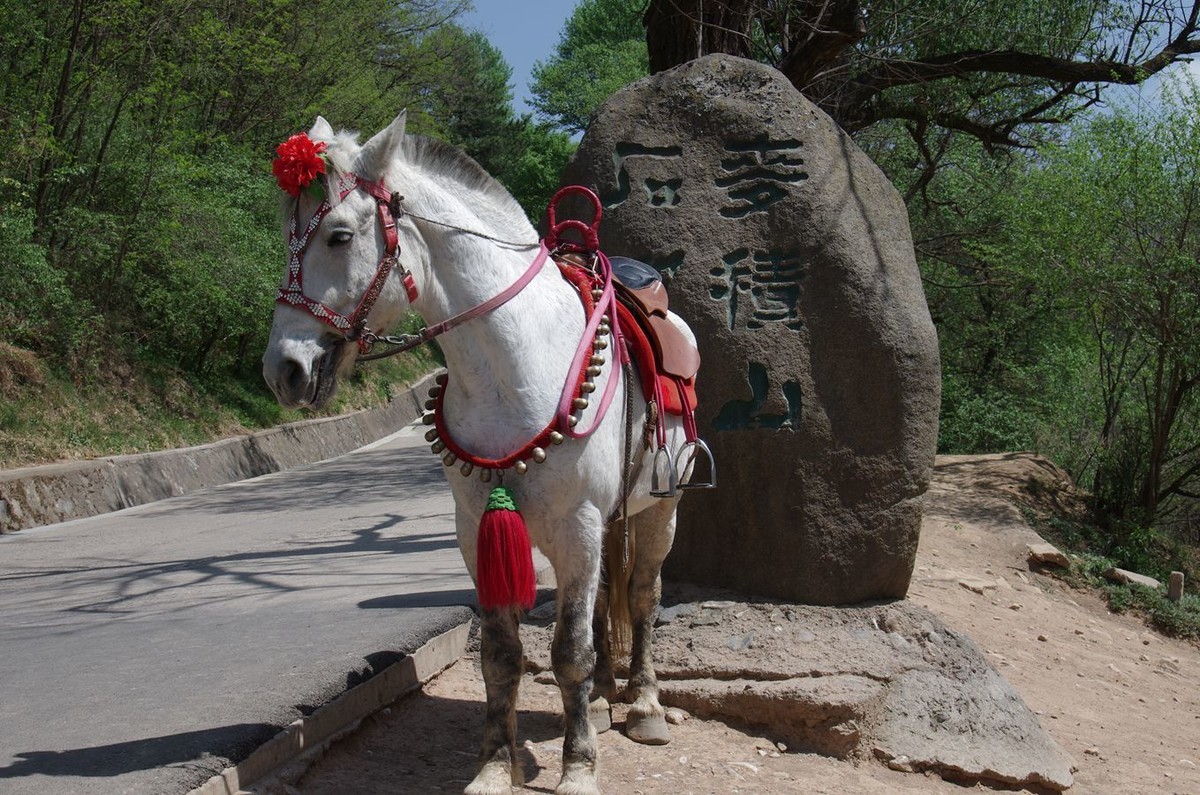 麦积山石窟游记