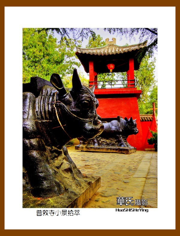 2020西西南北行游走山西018——普救寺小景拾萃（运城市永济）