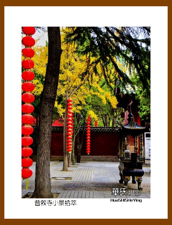 2020西西南北行游走山西018——普救寺小景拾萃（运城市永济）