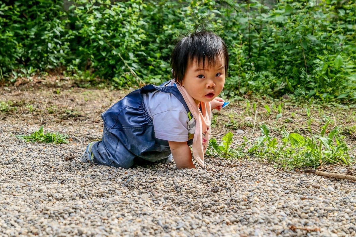 十一个月的小外孙女