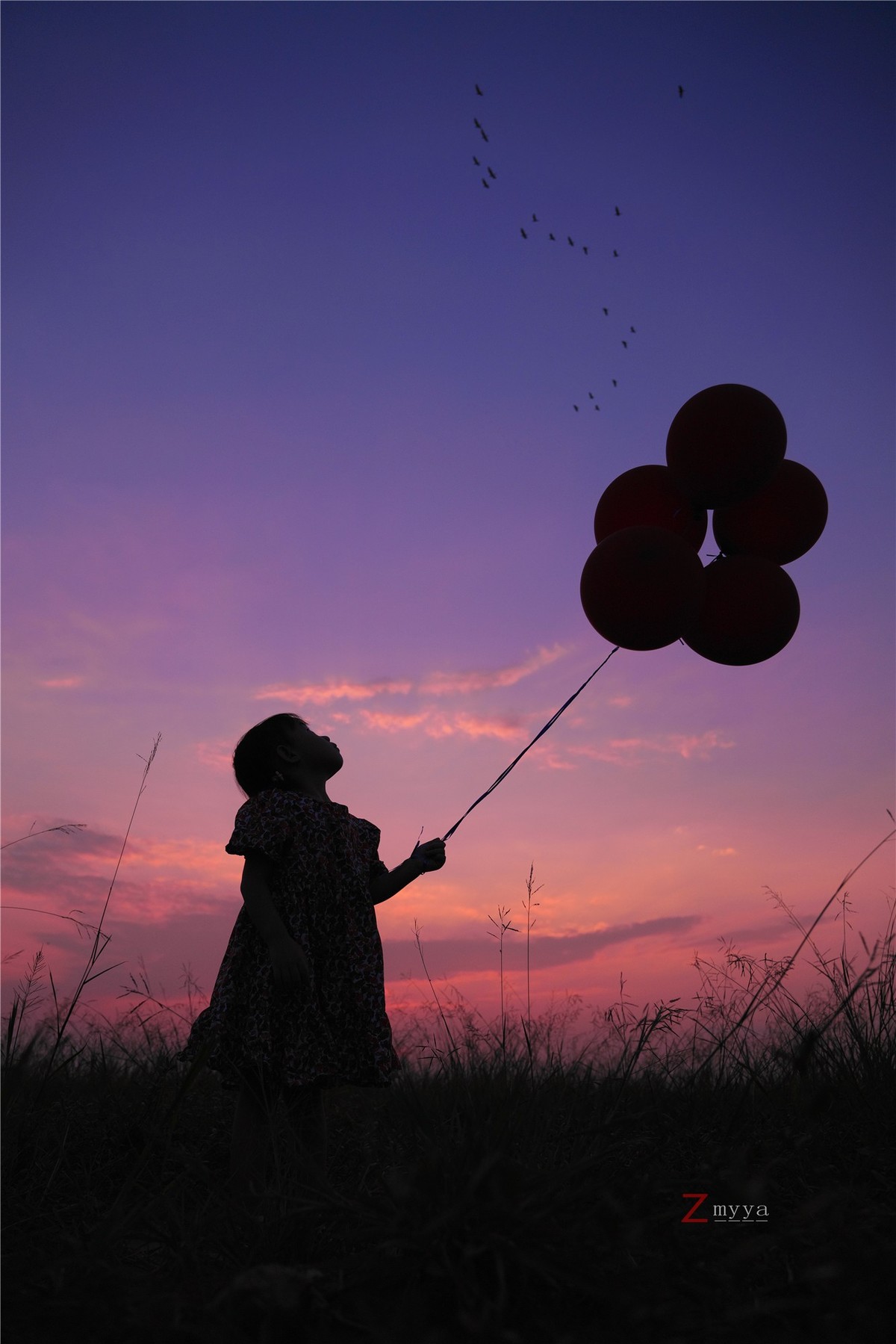 彩云伴我心飞翔！